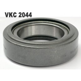 CRAPODINA--  VKC 2068...