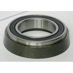 CRAPODINA--94001 DBH//6010...