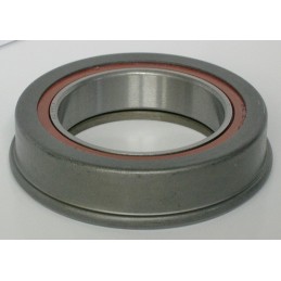 CRAPODINA--611849 DBH...