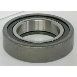 CRAPODINA-- 620002...