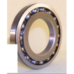 CRAPODINA- 98210--50X90X10-