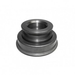 crapodina Ford F-100 Motor...